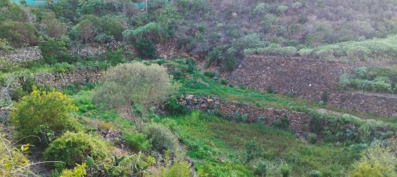 Terreno en La Guancha, Spain 5813 m² No. 78532 12