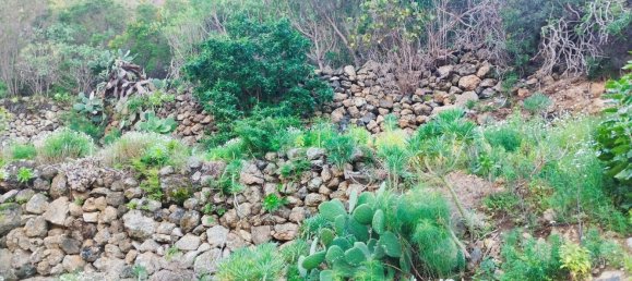 Terreno en La Guancha, Spain 5813 m² No. 78532 4