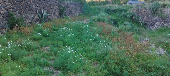 Terreno en La Guancha, Spain 5813 m² No. 78532 6