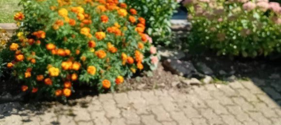 6غرفة بنغالو في Gottingen, Germany رقم 239432 3