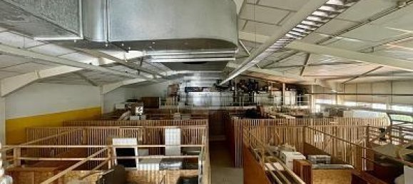 Коммерческая недвижимость с 4 комнатами в Фрайбург им Брайсгау, Германия № 274157 3