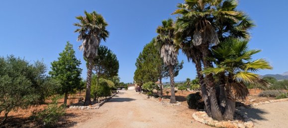 5 bedrooms House in Sencelles, Spain No. 187577 17