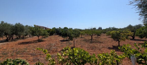 5 bedrooms House in Sencelles, Spain No. 187577 28