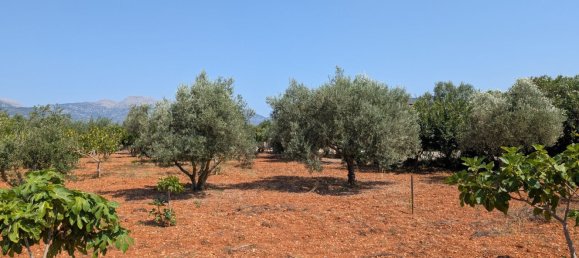 5 bedrooms House in Sencelles, Spain No. 187577 25