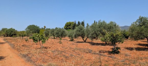 5 bedrooms House in Sencelles, Spain No. 187577 23