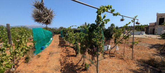 5 bedrooms House in Sencelles, Spain No. 187577 29