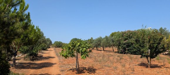 5 bedrooms House in Sencelles, Spain No. 187577 22