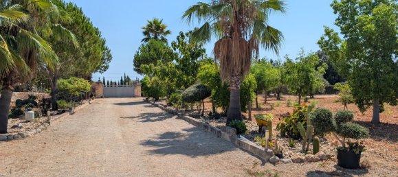 5 bedrooms House in Sencelles, Spain No. 187577 49