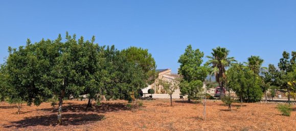 5 bedrooms House in Sencelles, Spain No. 187577 21