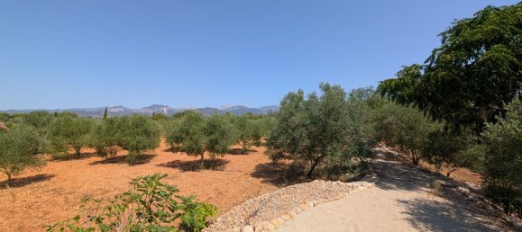 5 bedrooms House in Sencelles, Spain No. 187577 9