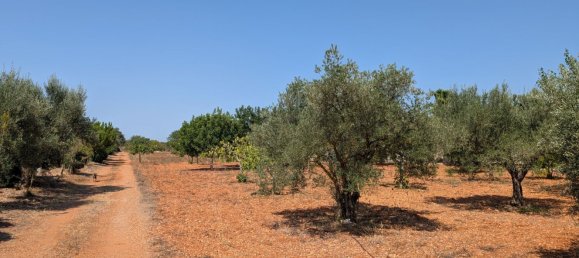 5 bedrooms House in Sencelles, Spain No. 187577 20