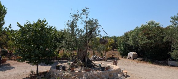 5 bedrooms House in Sencelles, Spain No. 187577 31