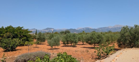 5 bedrooms House in Sencelles, Spain No. 187577 16