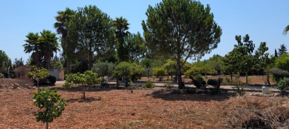 5 bedrooms House in Sencelles, Spain No. 187577 48