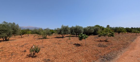 5 bedrooms House in Sencelles, Spain No. 187577 26