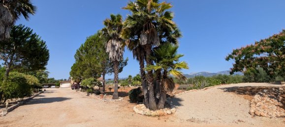 5 bedrooms House in Sencelles, Spain No. 187577 18