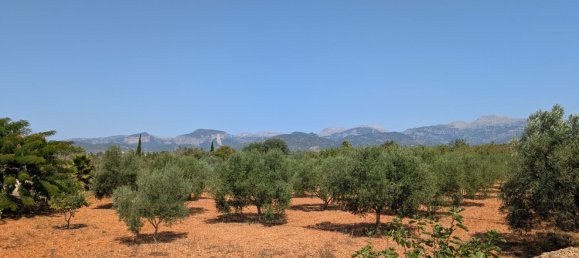 5 bedrooms House in Sencelles, Spain No. 187577 13