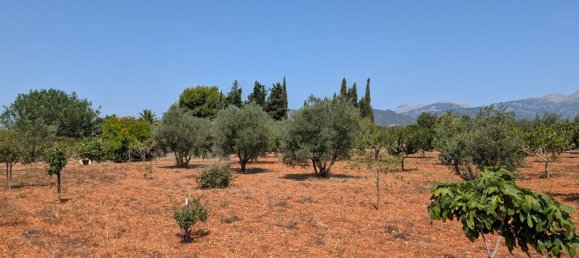 5 bedrooms House in Sencelles, Spain No. 187577 24