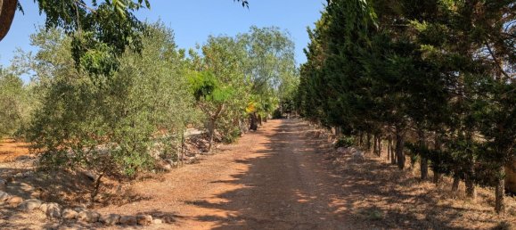 5 bedrooms House in Sencelles, Spain No. 187577 6