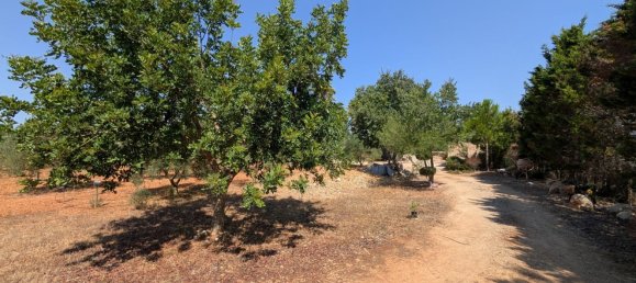 5 bedrooms House in Sencelles, Spain No. 187577 19