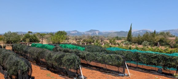 5 bedrooms House in Sencelles, Spain No. 187577 42