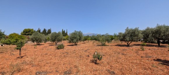 5 bedrooms House in Sencelles, Spain No. 187577 27