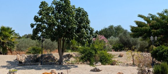 5 bedrooms House in Sencelles, Spain No. 187577 34