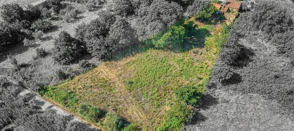 2 bedrooms Villa in Beco, Portugal No. 27990 5