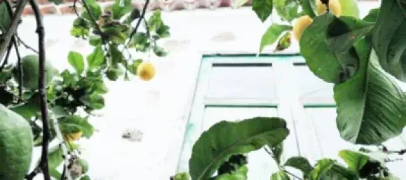 Terrain à Icod de los Vinos, Spain 1000m² No. 89439 9