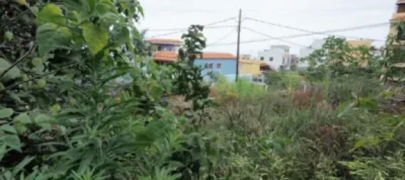 Terrain à Icod de los Vinos, Spain 1000m² No. 89439 10