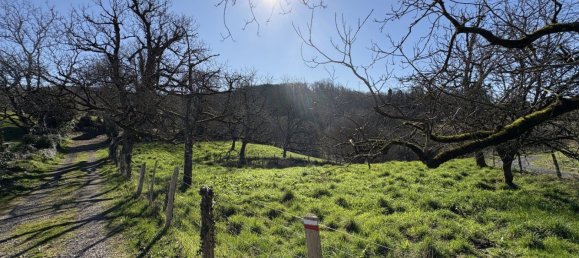 3 bedrooms House in Estivaux, France No. 98496 18