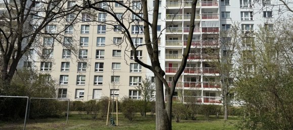 2 rooms Apartment in Friedrichsfelde, Germany No. 12861 6