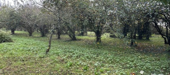 Moradia em banda de 4 divisões em Logron, France N.º 217853 13