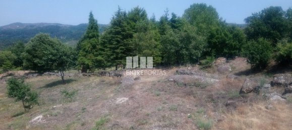 Grundstück in Soalhaes, Portugal 39000m², Nr. 56113 5