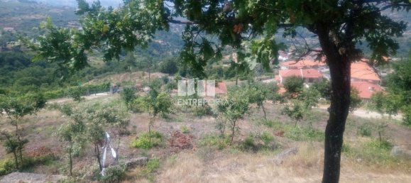 Grundstück in Soalhaes, Portugal 39000m², Nr. 56113 9