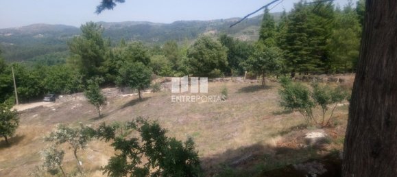 Grundstück in Soalhaes, Portugal 39000m², Nr. 56113 7