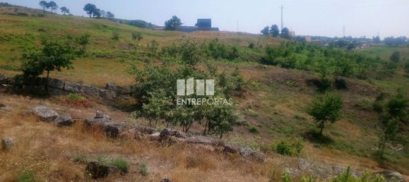 Grundstück in Soalhaes, Portugal 39000m², Nr. 56113 11