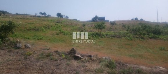 Grundstück in Soalhaes, Portugal 39000m², Nr. 56113 2