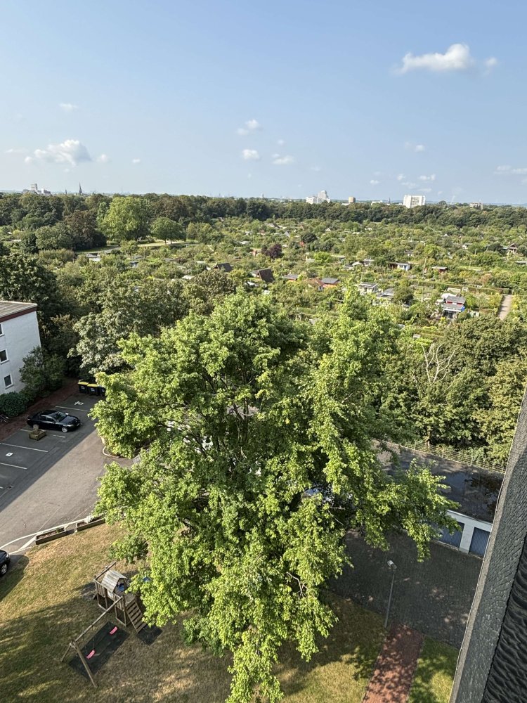 1 chambre Appartement à Cologne, Germany No. 207748