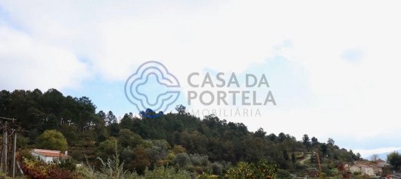 Grundstück in Santa Marinha do Zezere, Portugal 38890m², Nr. 36213 3