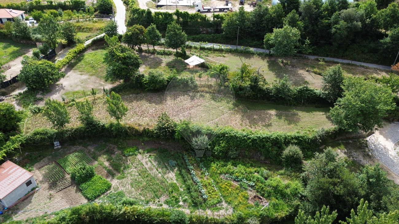  Land in Cinfaes, Portugal No. 90093