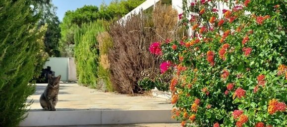 3 غرف نوم ميزونيت في Keratea, Greece رقم 92755 11