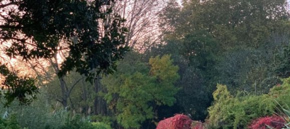 15 bedrooms House in Torres Vedras, Portugal No. 54382 10