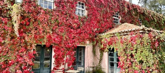 15 bedrooms House in Torres Vedras, Portugal No. 54382 38