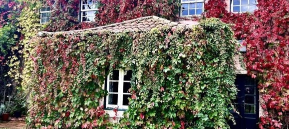 15 bedrooms House in Torres Vedras, Portugal No. 54382 48