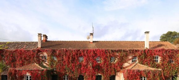 15 bedrooms House in Torres Vedras, Portugal No. 54382 43