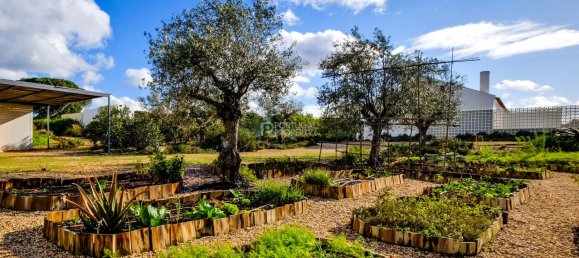 5 bedrooms House in Setubal, Portugal No. 122695 41