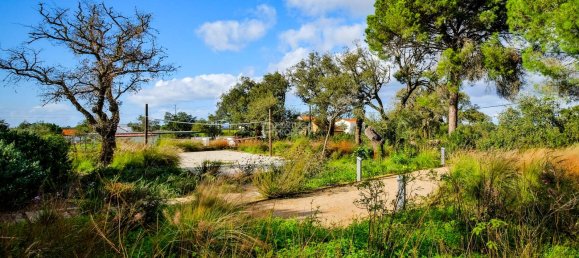 5 bedrooms House in Setubal, Portugal No. 122695 40