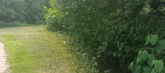  Land in Velden am Worther See, Austria No. 126931 12