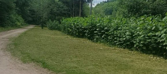  Land in Velden am Worther See, Austria No. 126931 8